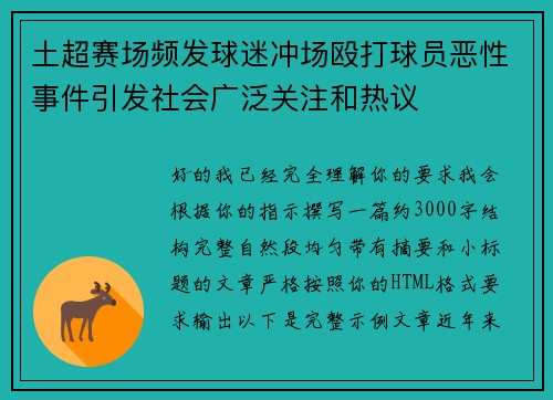 土超赛场频发球迷冲场殴打球员恶性事件引发社会广泛关注和热议